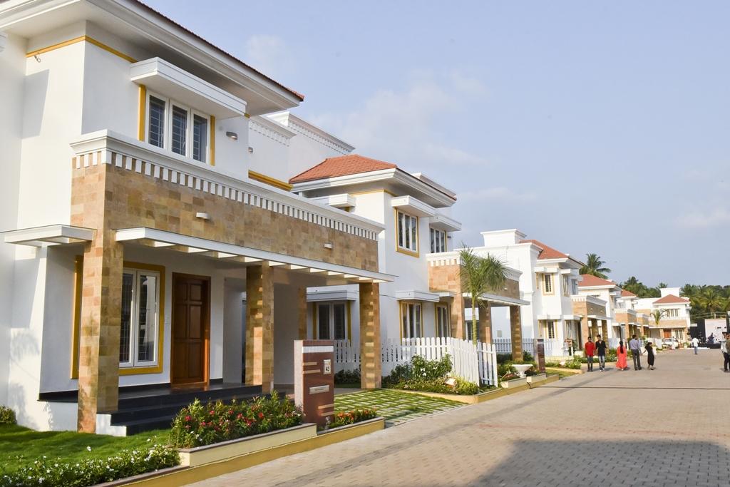 Asset Kasavu