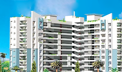 Asset Urban Crest