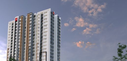 Asset Magnum
