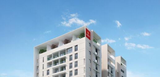 Asset The Grand Entry